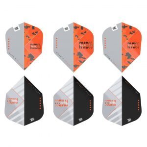 Target | Vision Ultra Player Raymond van Barneveld Echo